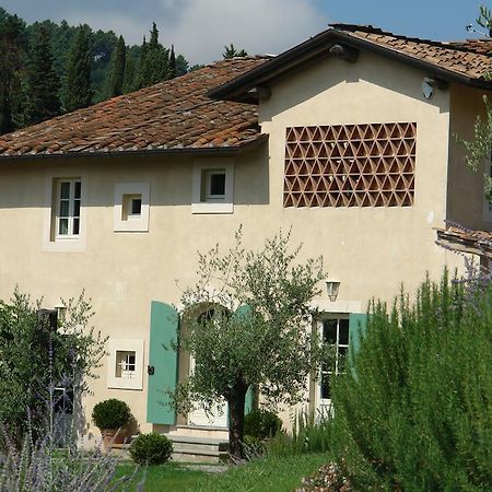 Agriturismo Mareli Villa Camaiore Bagian luar foto