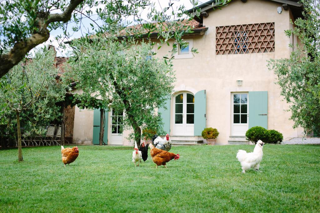 Agriturismo Mareli Villa Camaiore Bagian luar foto